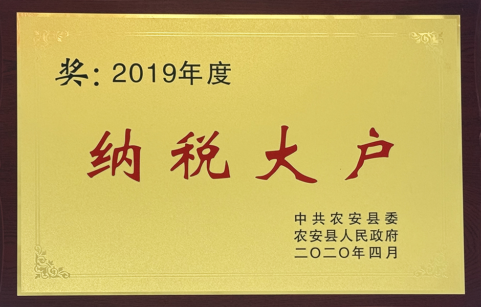 2019年度纳税大户